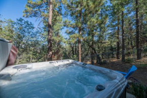 Dream Catchers - Cabin within in the trees with Hot Tub! Foosball table and Central heating!